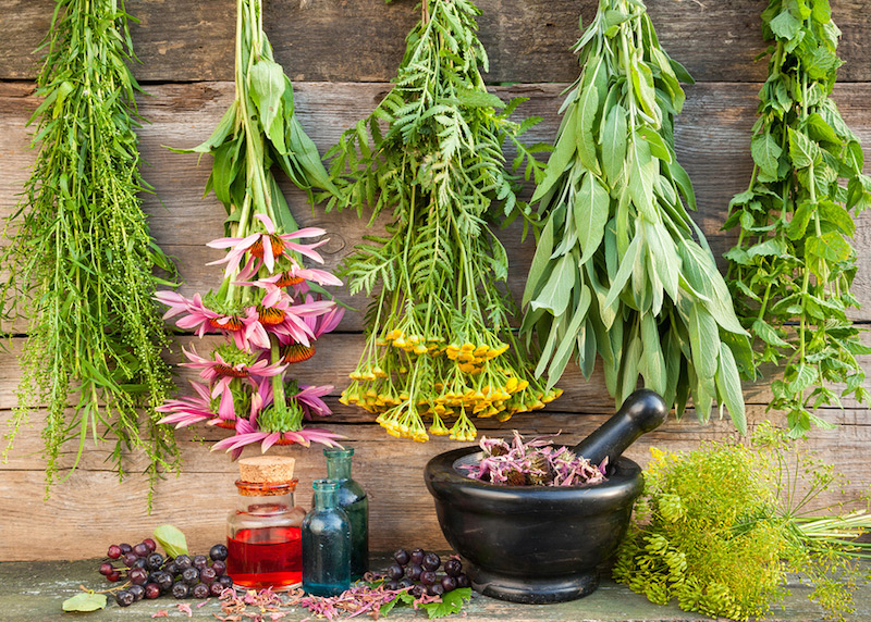 Médicaments naturels