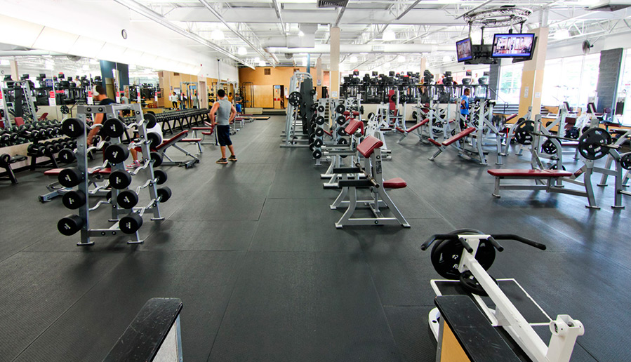 Entretien avec un modèle en herbe