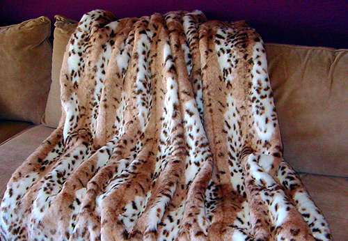 Comment ils nous vendent un couvre-lit en chats pour 400 000