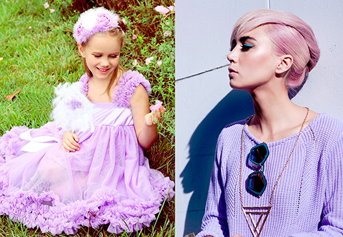 Couleur lilas et photos des plus belles images lilas