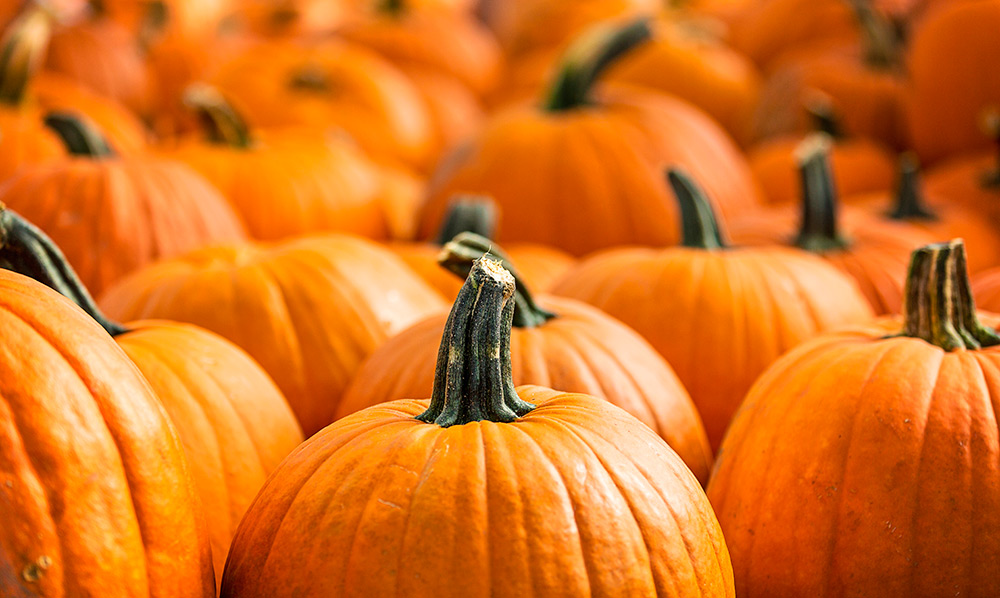 L'huile de pépins de courge et ses bienfaits beauté