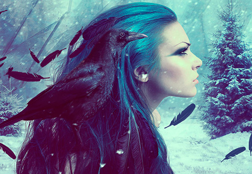 Le corbeau comme source d'inspiration pour les images et les photos de mode
