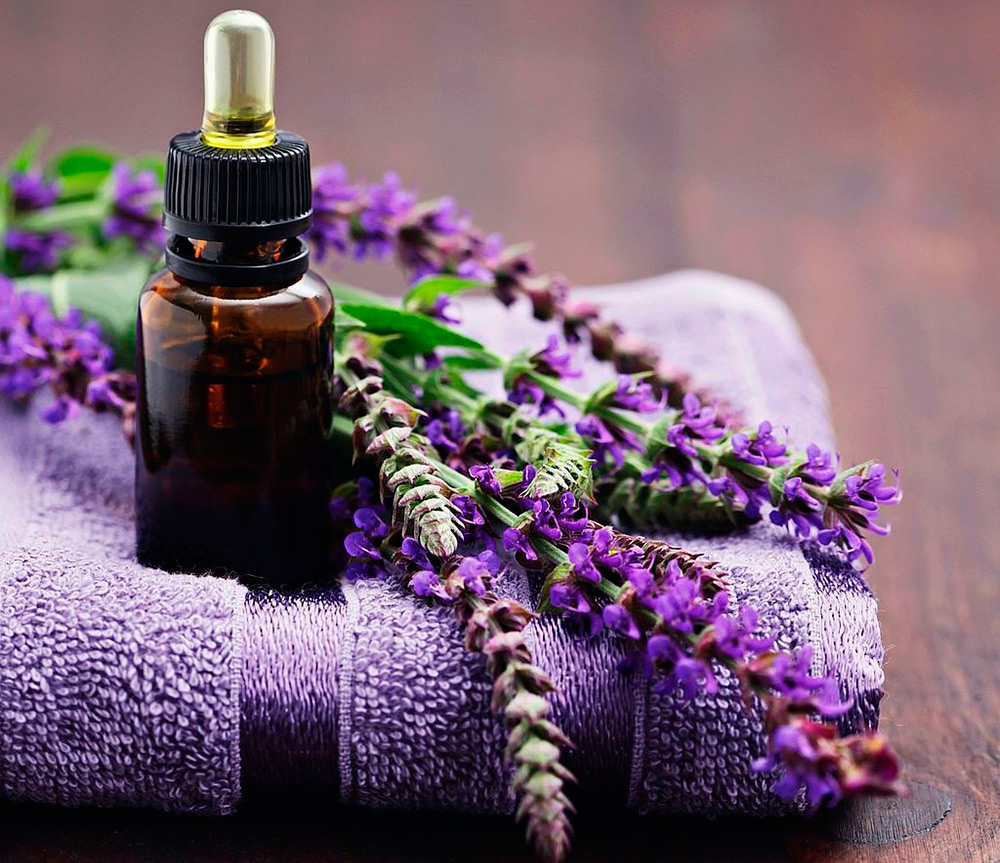 Ingrédients efficaces des produits anti-cellulite