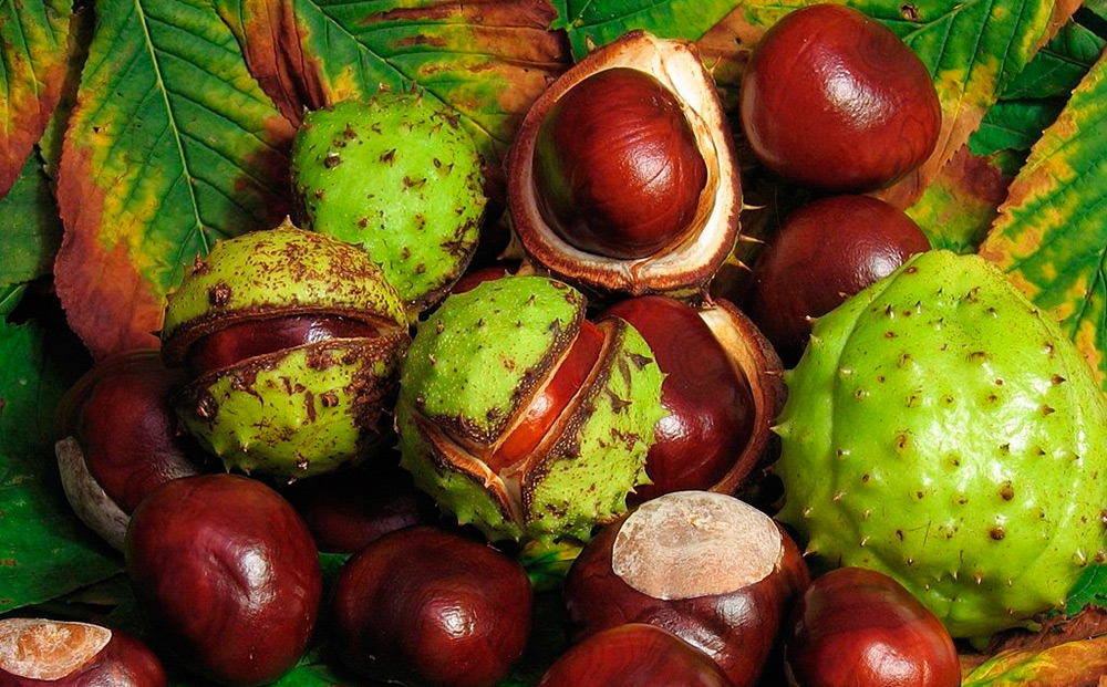 Ingrédients efficaces des produits anti-cellulite