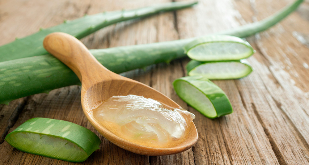 Aloe Vera pour le visage et les cheveux