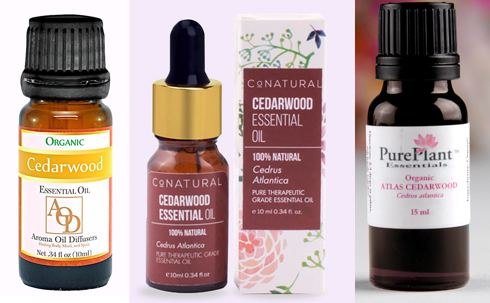 Cèdre de l'Atlas - huile essentielle