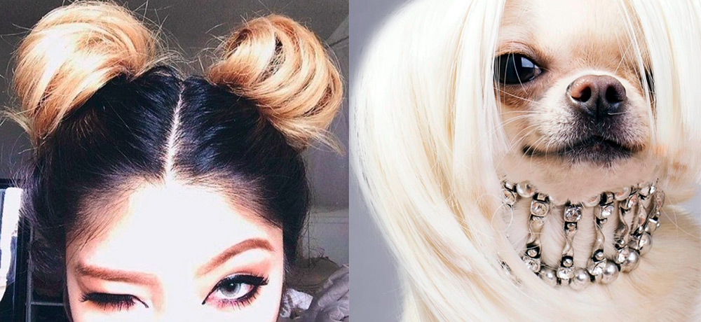 Coiffures pour le nouvel an 2026