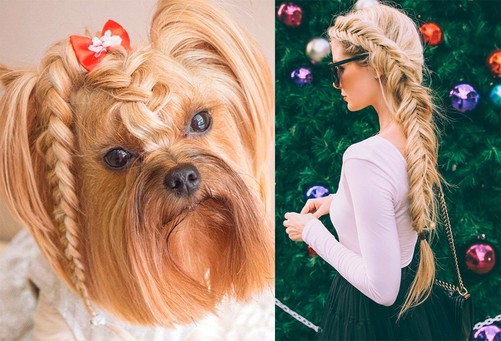 Coiffures pour le nouvel an 2026