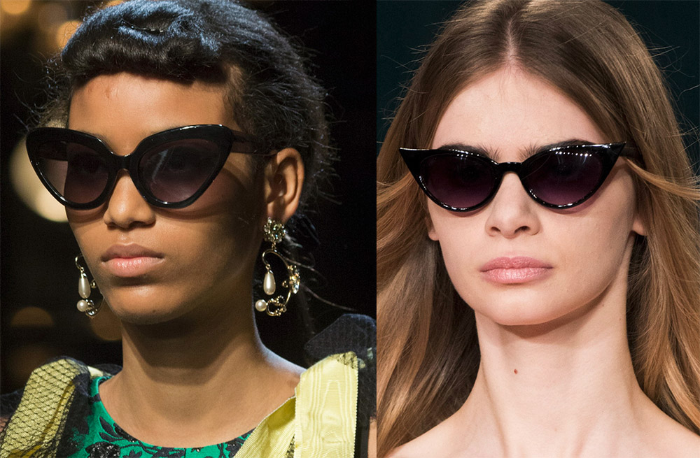 lunettes de vue chat