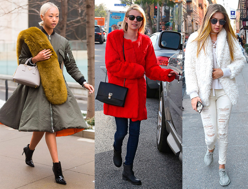 L'interdiction de la vente de fourrure naturelle et la démocratie