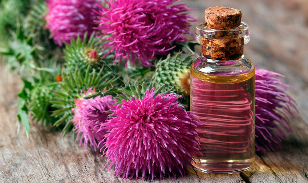 huile de chardon-Marie en cosmétologie