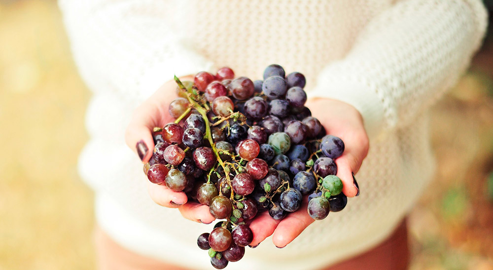 Combien y a-t-il de raisins