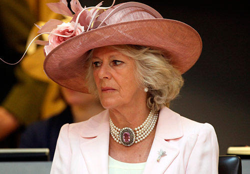 Ras de cou luxueux et colliers avec fermoir fermoir