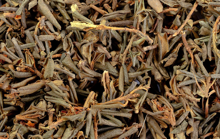 Sagan Daila - une alternative au café dans le noir