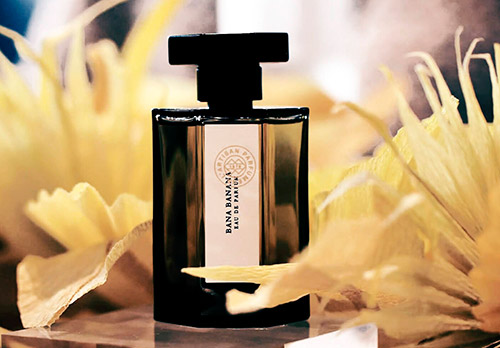 Tout en fleurs - 6 nouvelles senteurs printanières