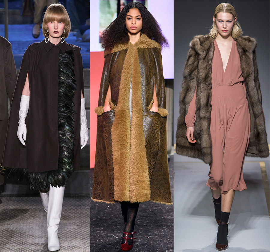 Images élégantes de l'automne-hiver