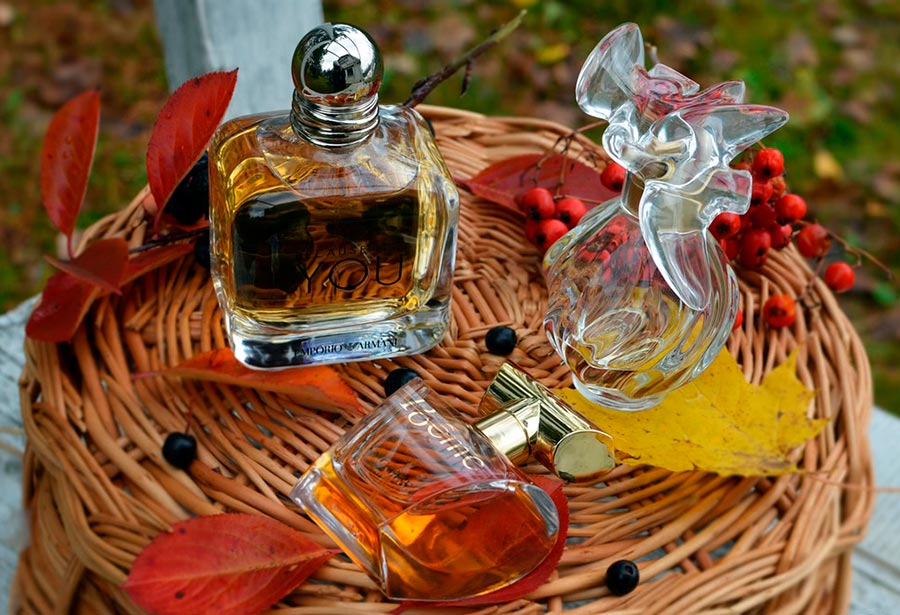 Top 10 des meilleurs parfums d'automne